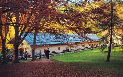 I colori del bosco da Cei a Malga Cimana
