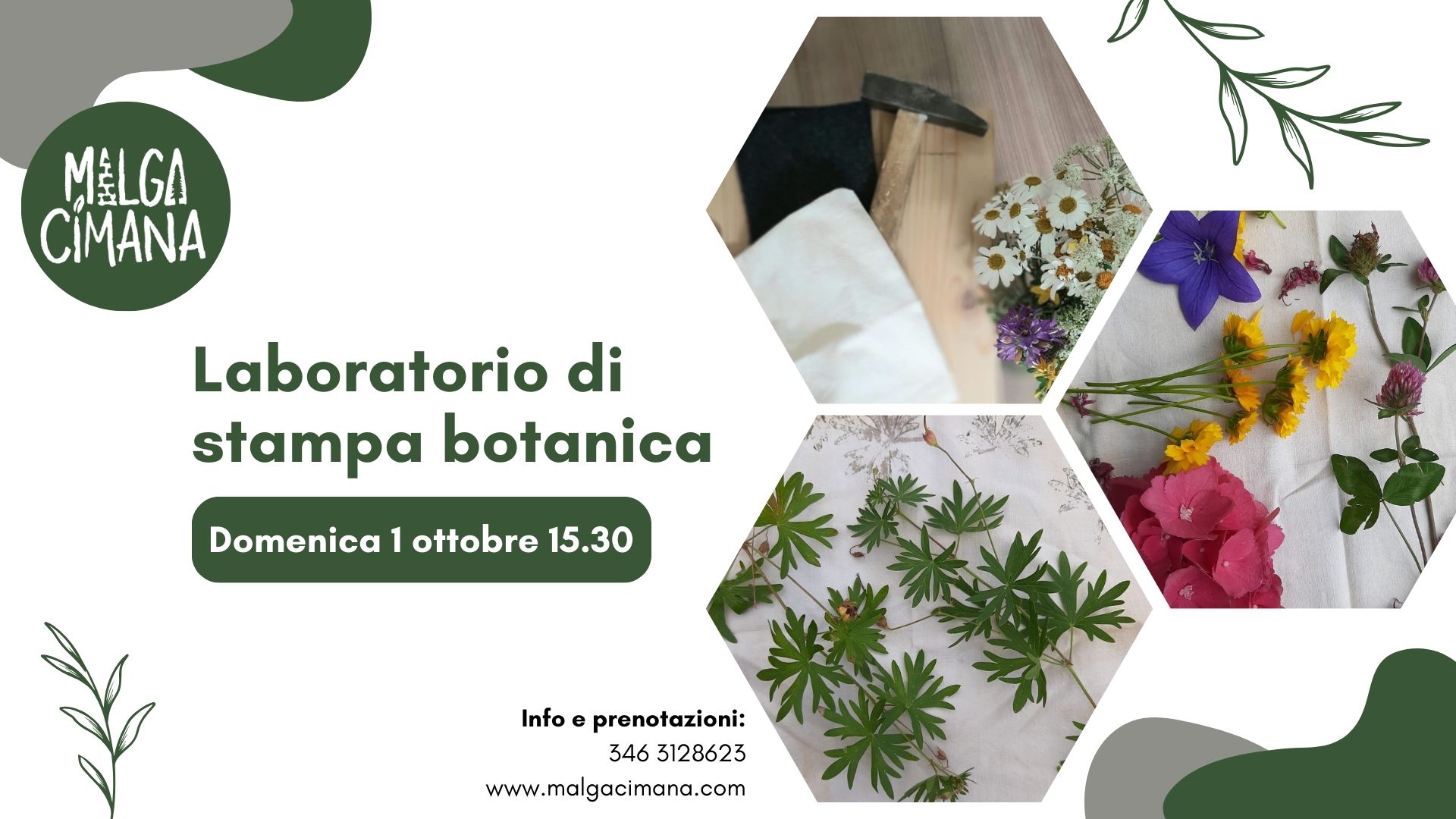 laboratorio-di-stampa-botanica-malga-cimana